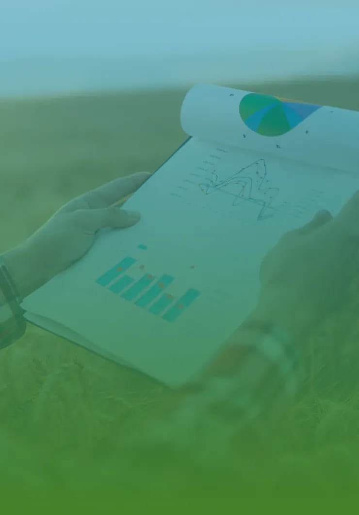 Foto de uma prancheta com graficos